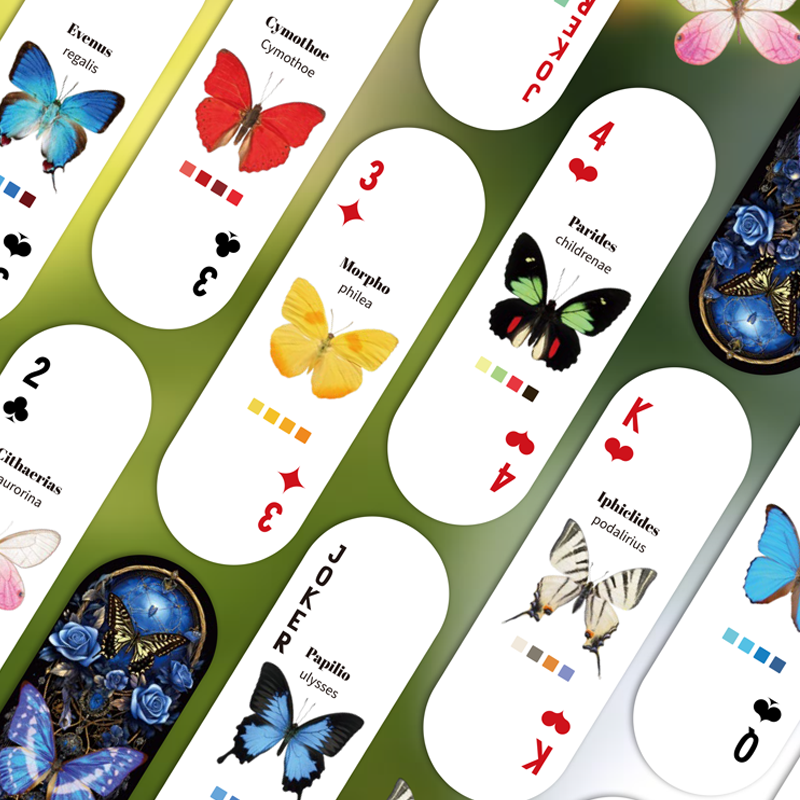Mr.Paper Table Card Game 54/Bo – Graded Card Display recenzja i cena